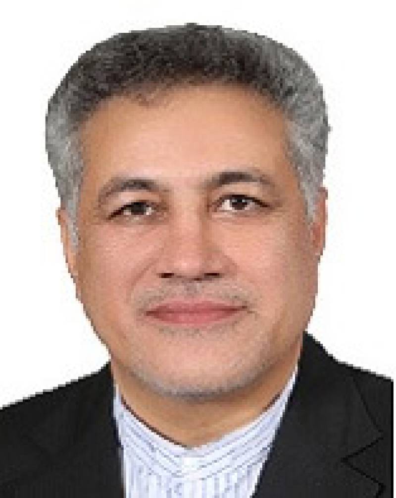 سرشاخه‌کاری میزان برداشت گردو از باغات جنوب استان کرمان را افزایش می‌دهد